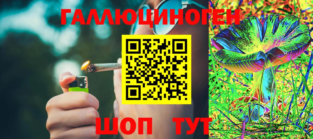 Галлюциногенные грибы Magic Shrooms Новошахтинск