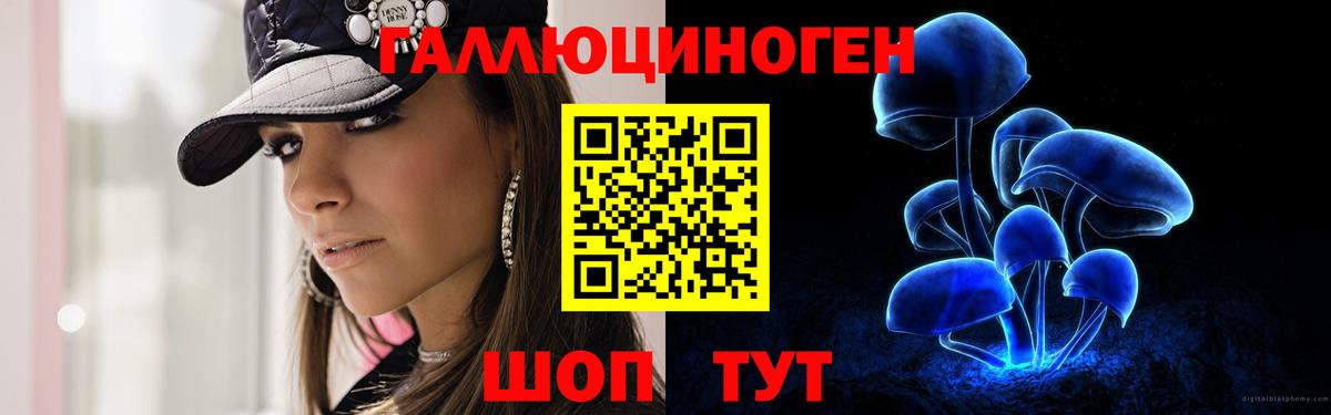 Галлюциногенные грибы ЛСД  Вход с VPN  Новошахтинск 